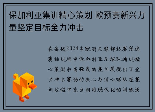 保加利亚集训精心策划 欧预赛新兴力量坚定目标全力冲击