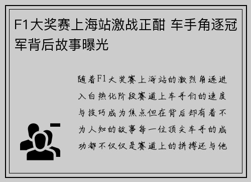 F1大奖赛上海站激战正酣 车手角逐冠军背后故事曝光